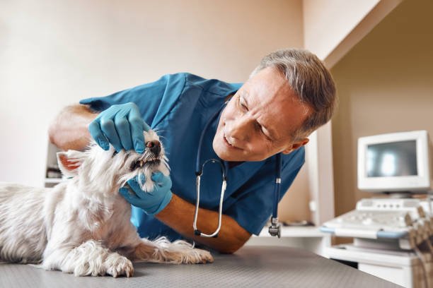Best Emergency Wisdom Tooth Extraction in Landen, OH