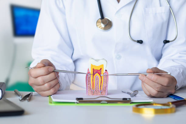 Best Broken or Chipped Tooth Repair in Landen, OH